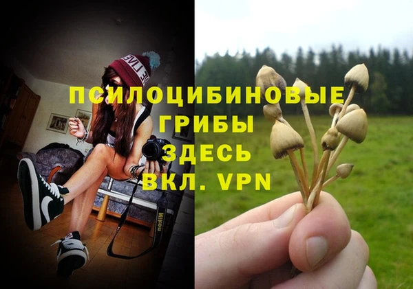 мефедрон Богородицк