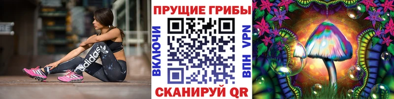 МЕГА ССЫЛКА  маркетплейс состав  Невель  Псилоцибиновые грибы мухоморы  где купить наркотик 